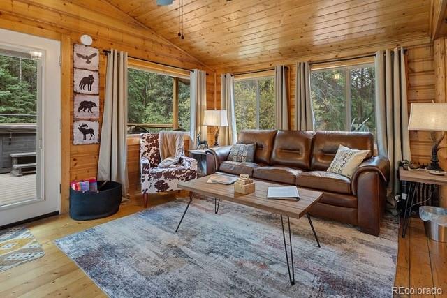 224 E Bakerville Road, idaho springs  House Search MLS Picture