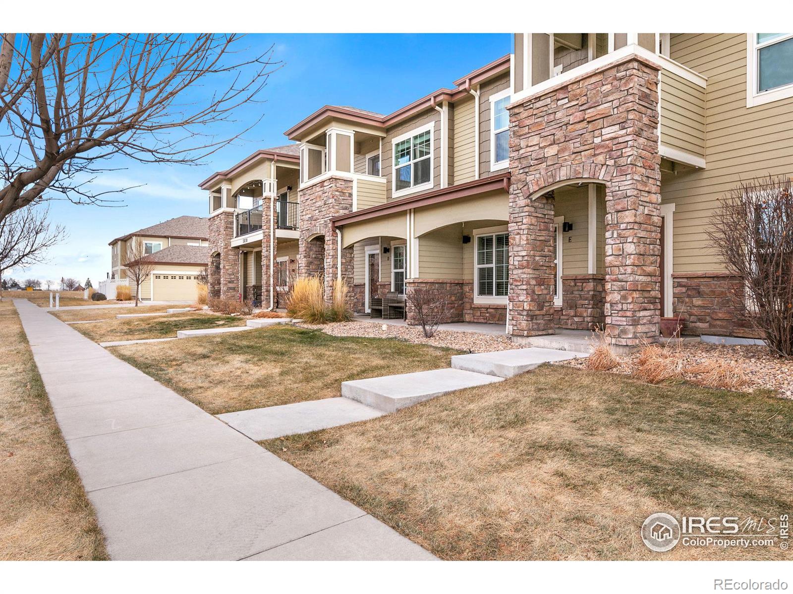 5020  Cinquefoil Lane, fort collins  House Search MLS Picture