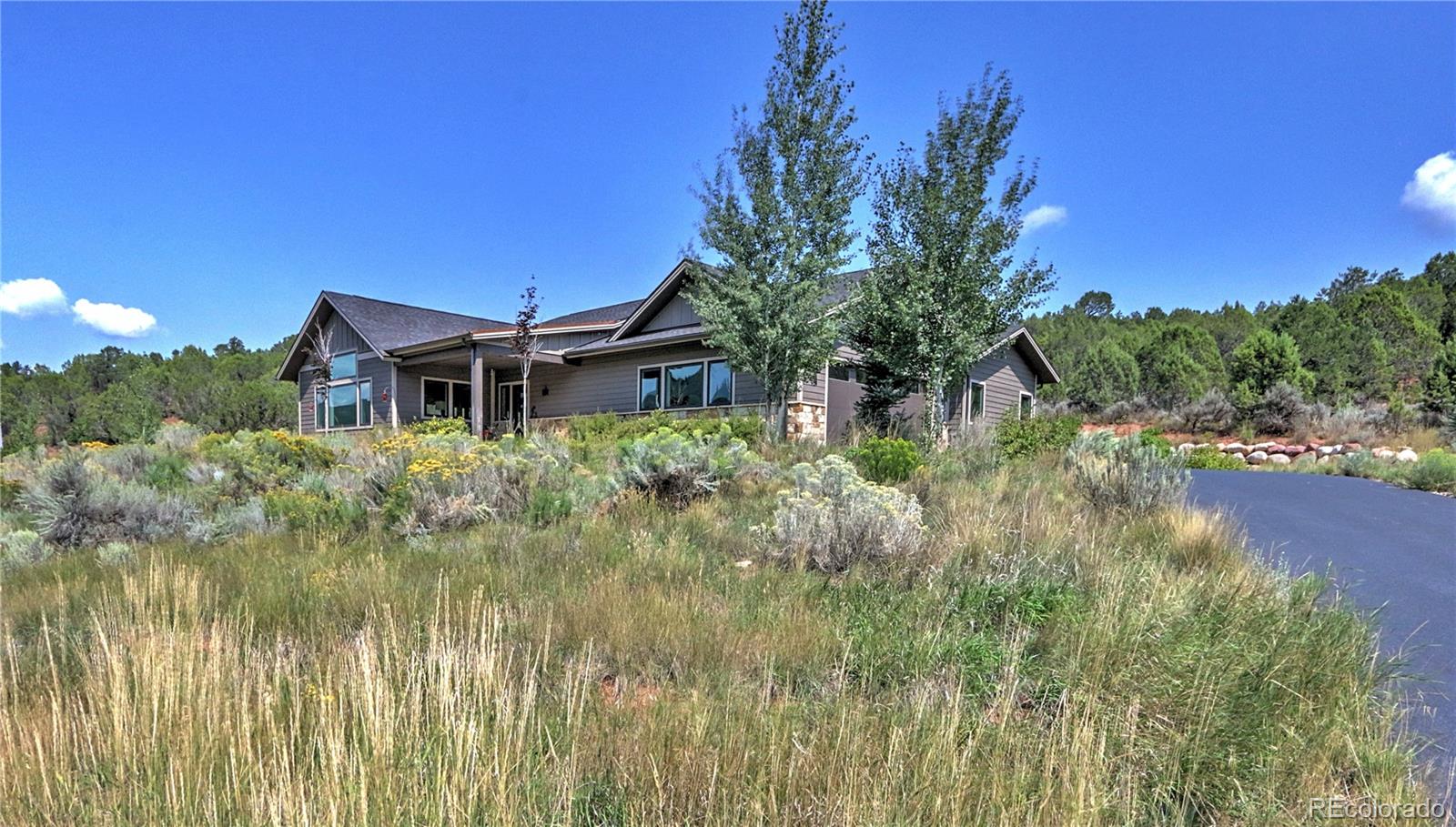 951  Hidden Valley Drive, glenwood springs  House Search MLS Picture