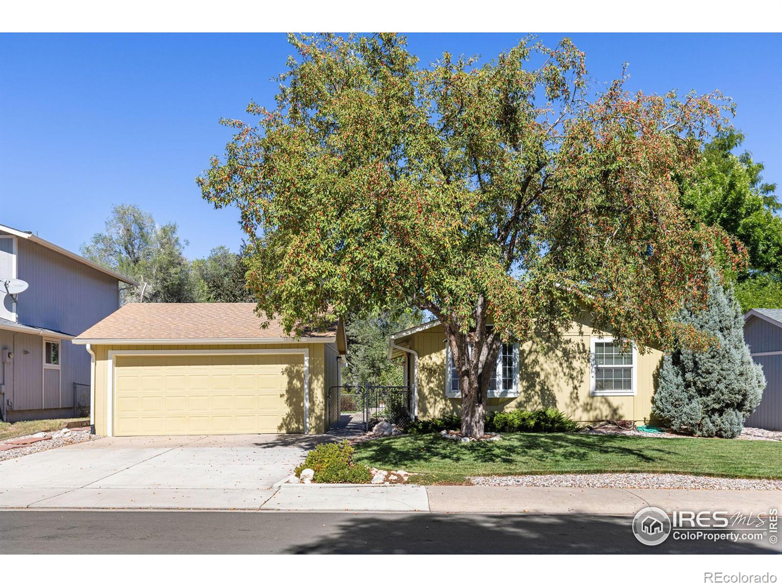 fort collins  House Search Picture