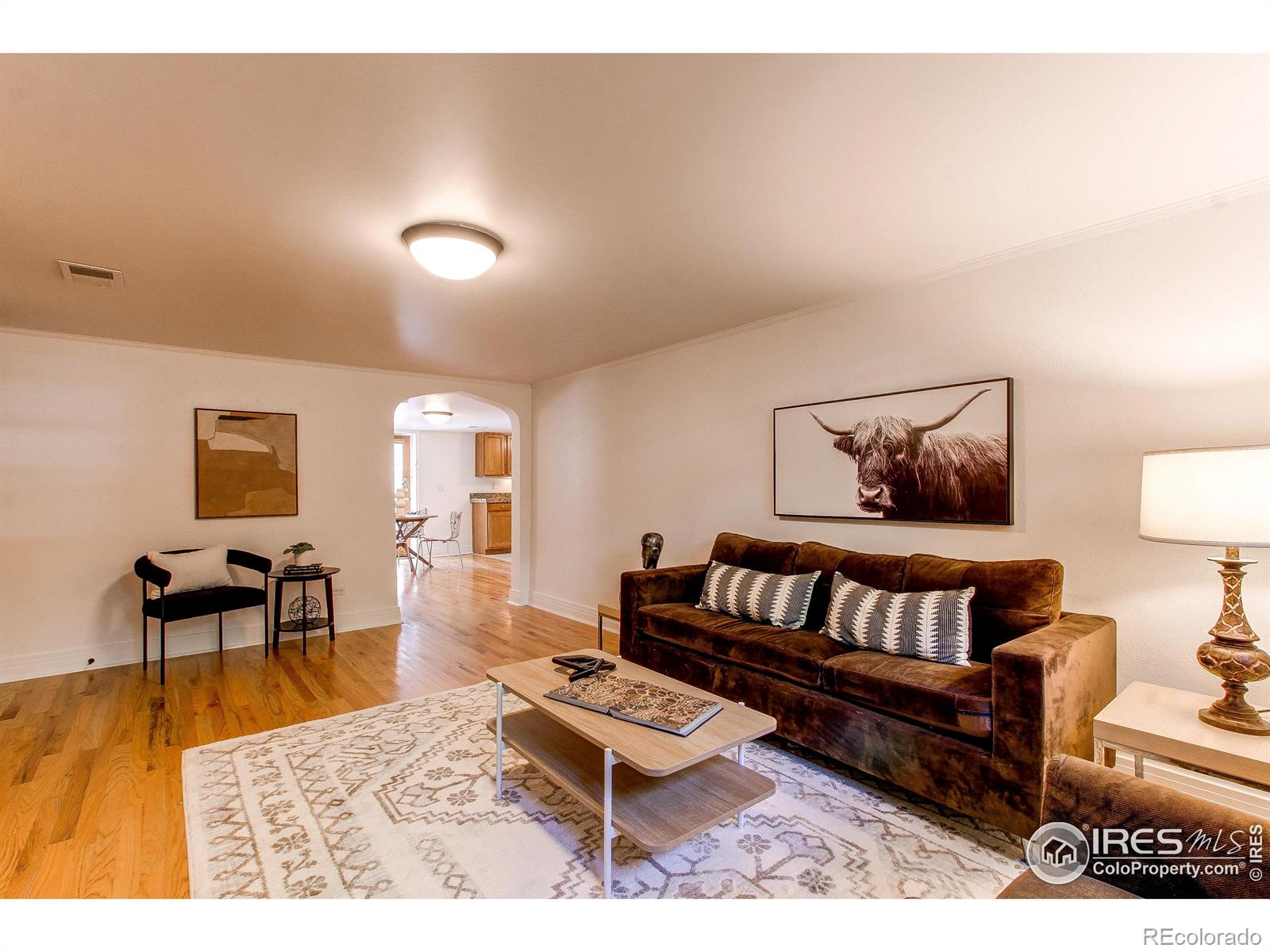 1342  Milwaukee Street, denver  House Search MLS Picture