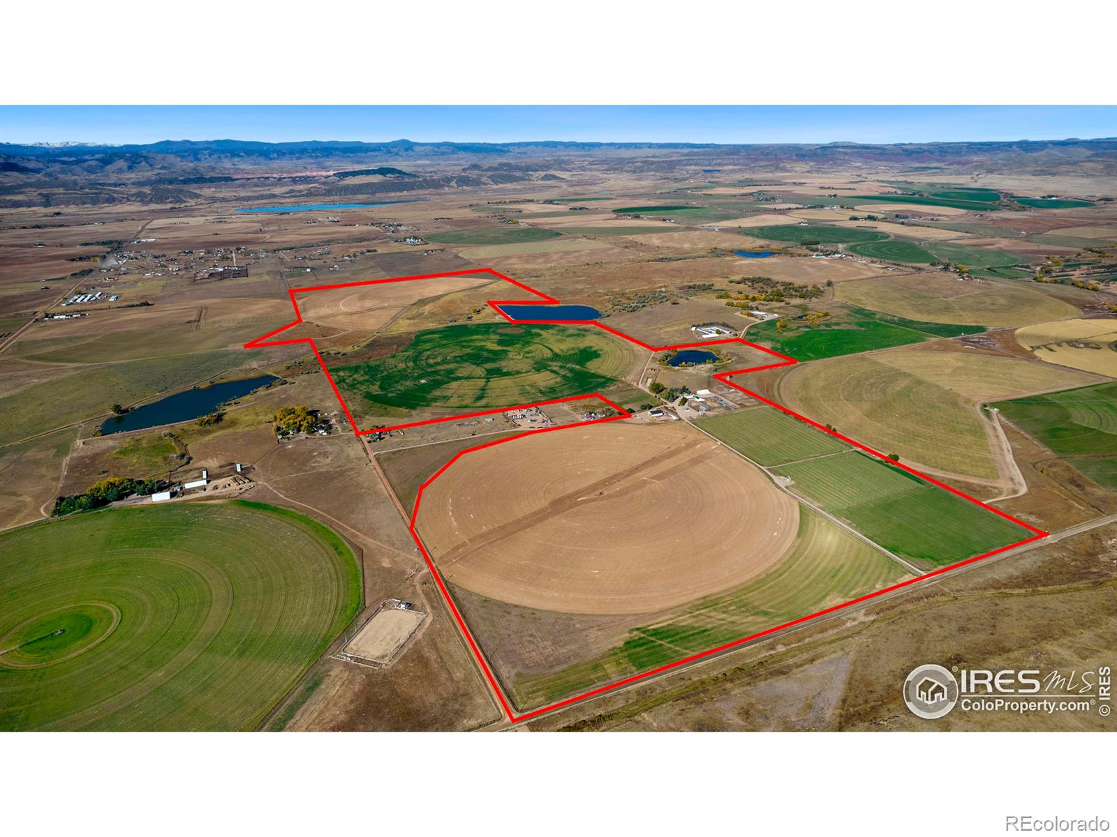 wellington  House Search Picture