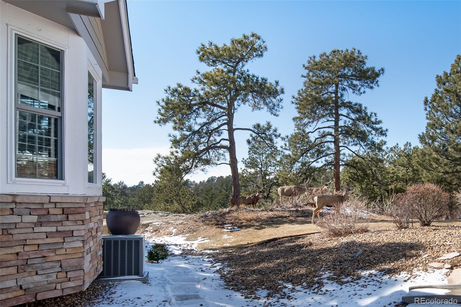 7515  Pineridge Trail, castle pines  House Search MLS Picture