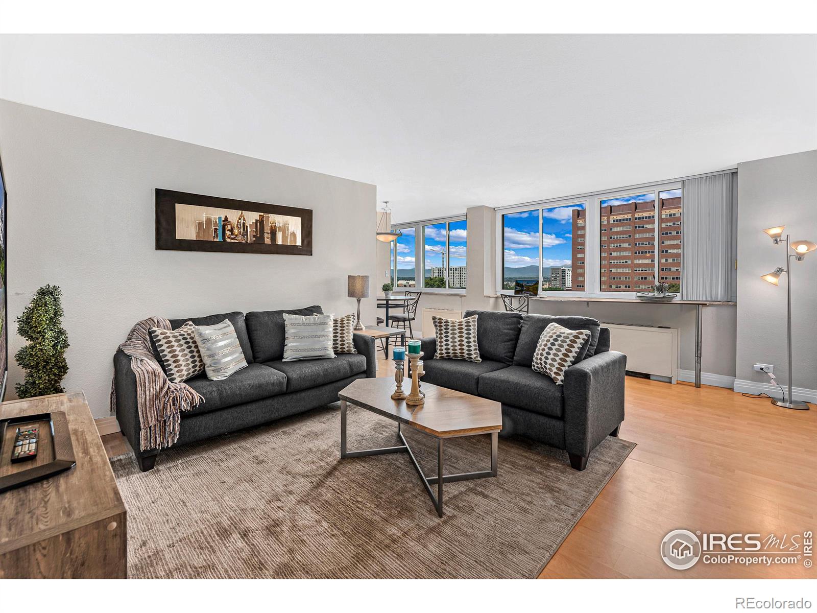 1196 N Grant Street 710, Denver  MLS: 4567891027324 Beds: 1 Baths: 1 Price: $280,000