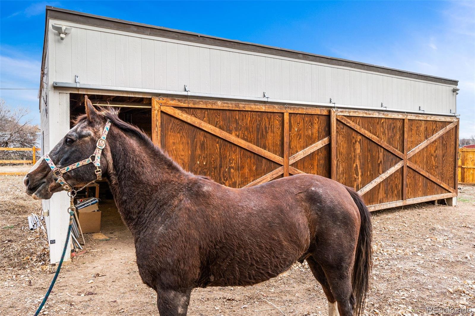 arvada  Horse Properties Search Picture