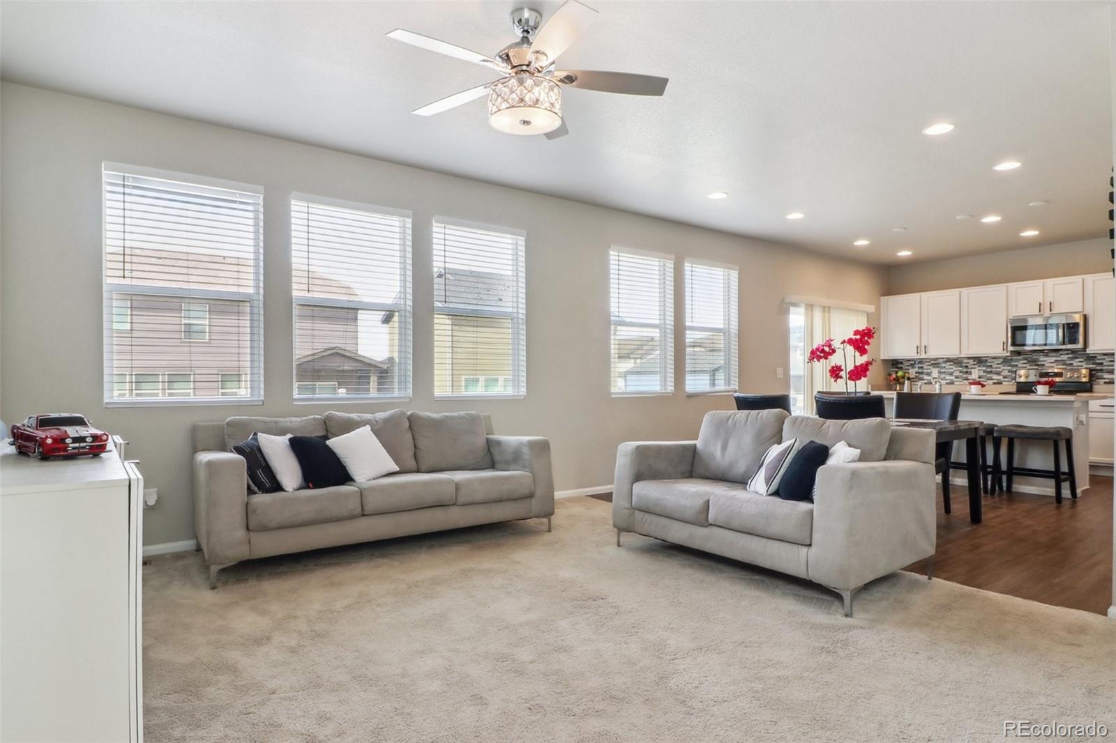 6491 N Danube Street, denver  House Search MLS Picture