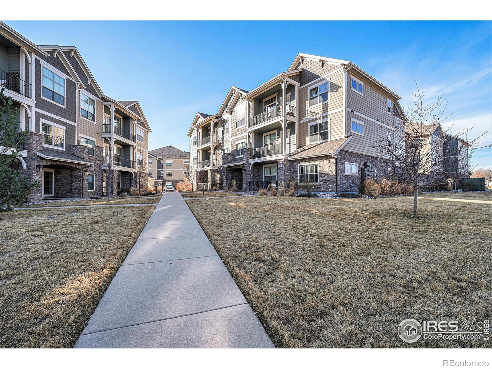 loveland  House Search Picture