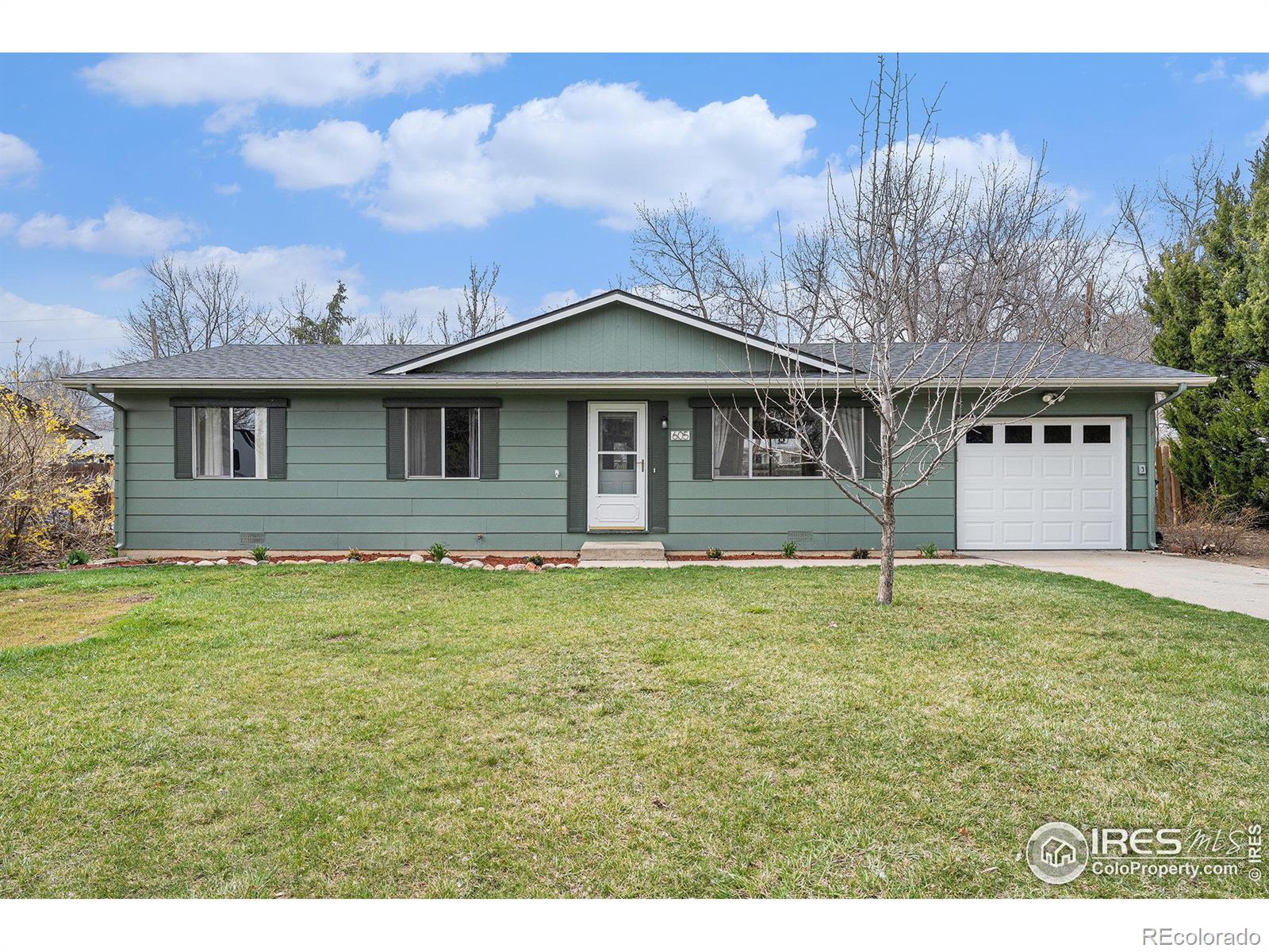fort collins  House Search Picture