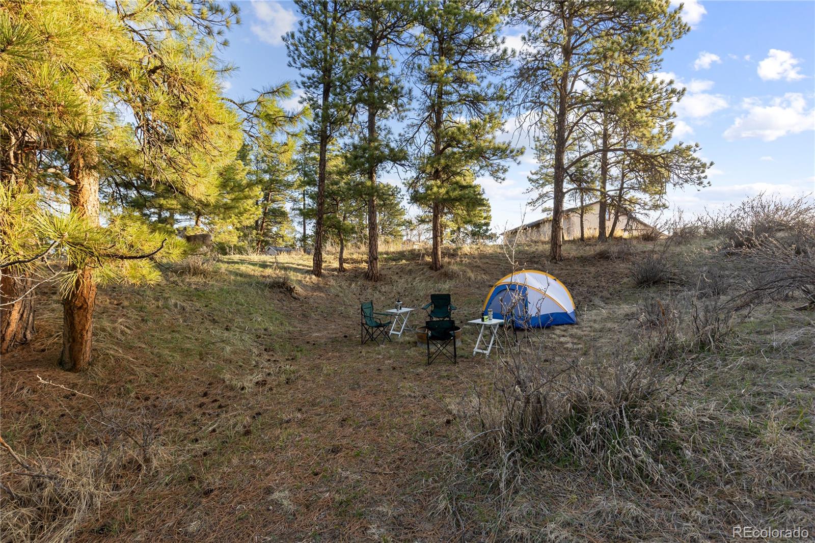 parker  Horse Properties Search Picture