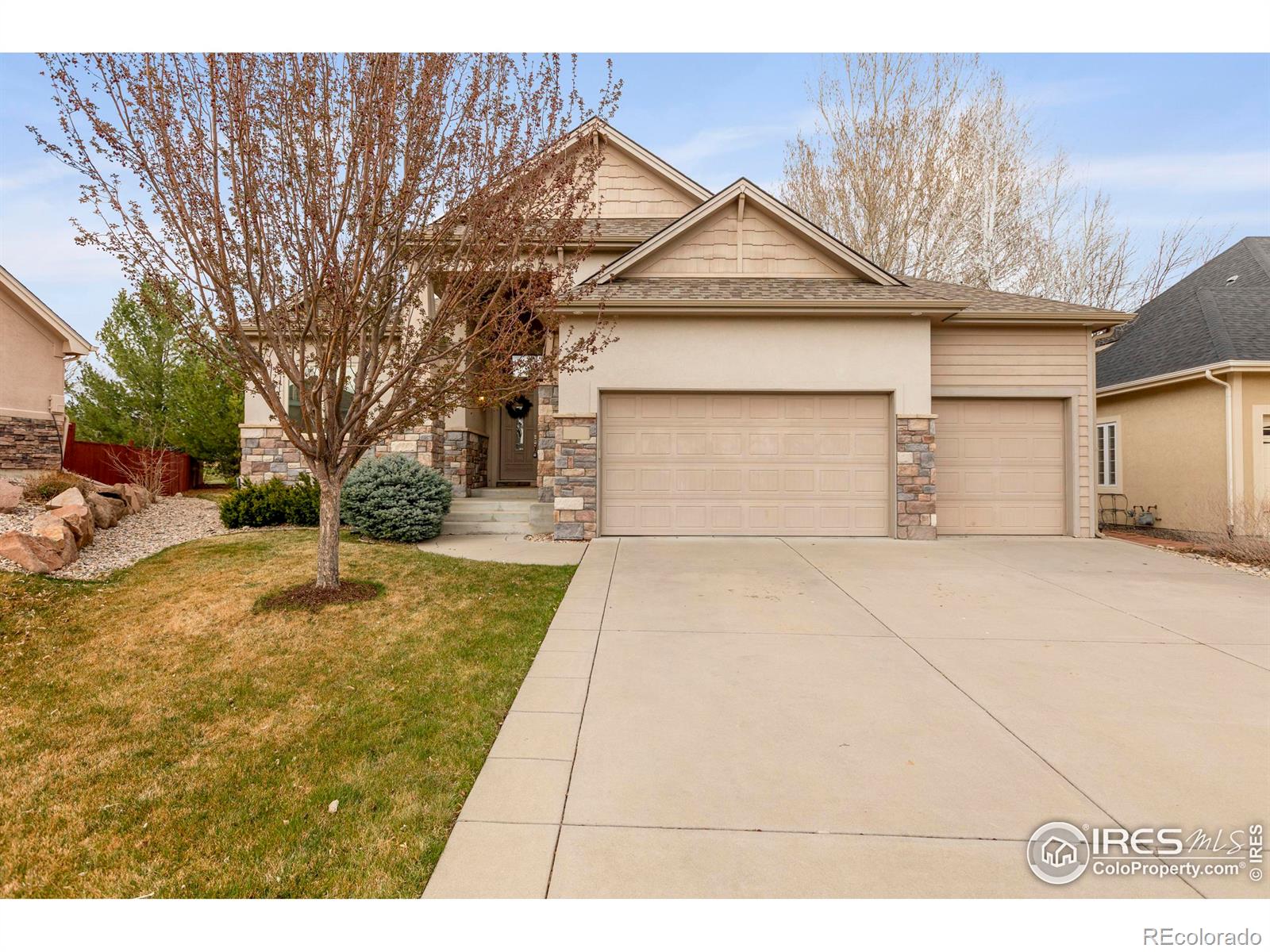 fort collins  House Search Picture