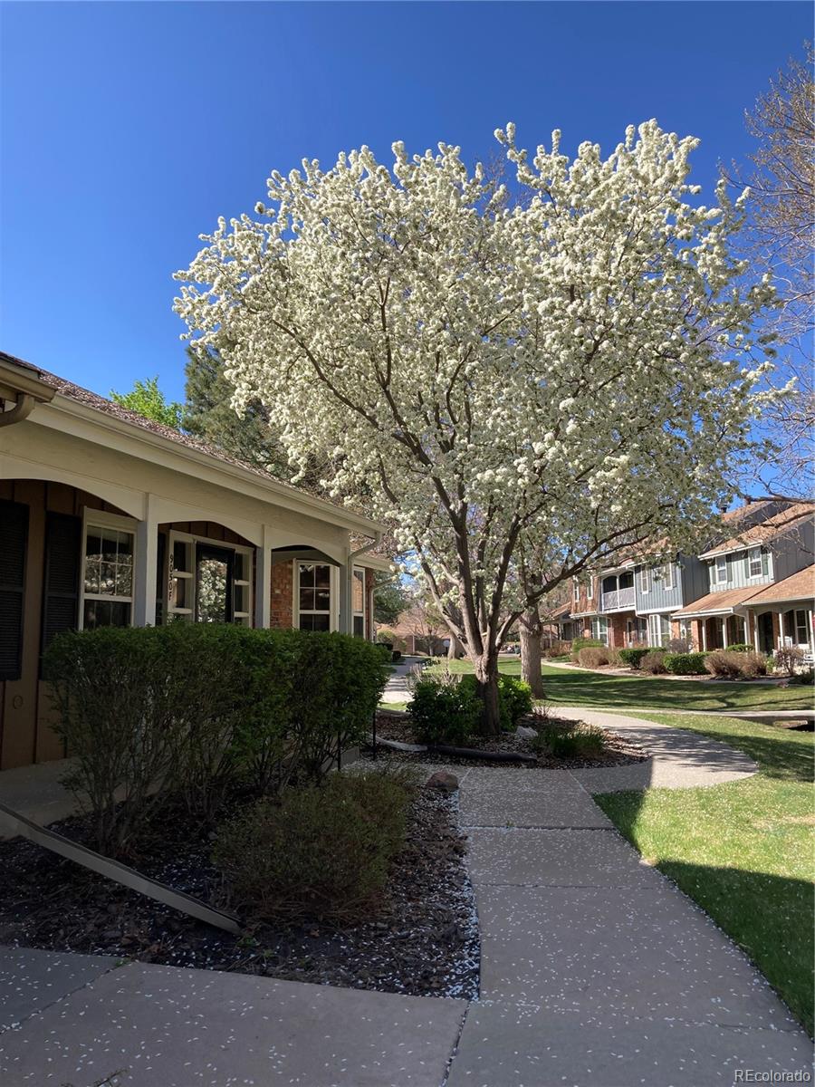 9050 E Cherry Creek South Drive, denver  House Search MLS Picture