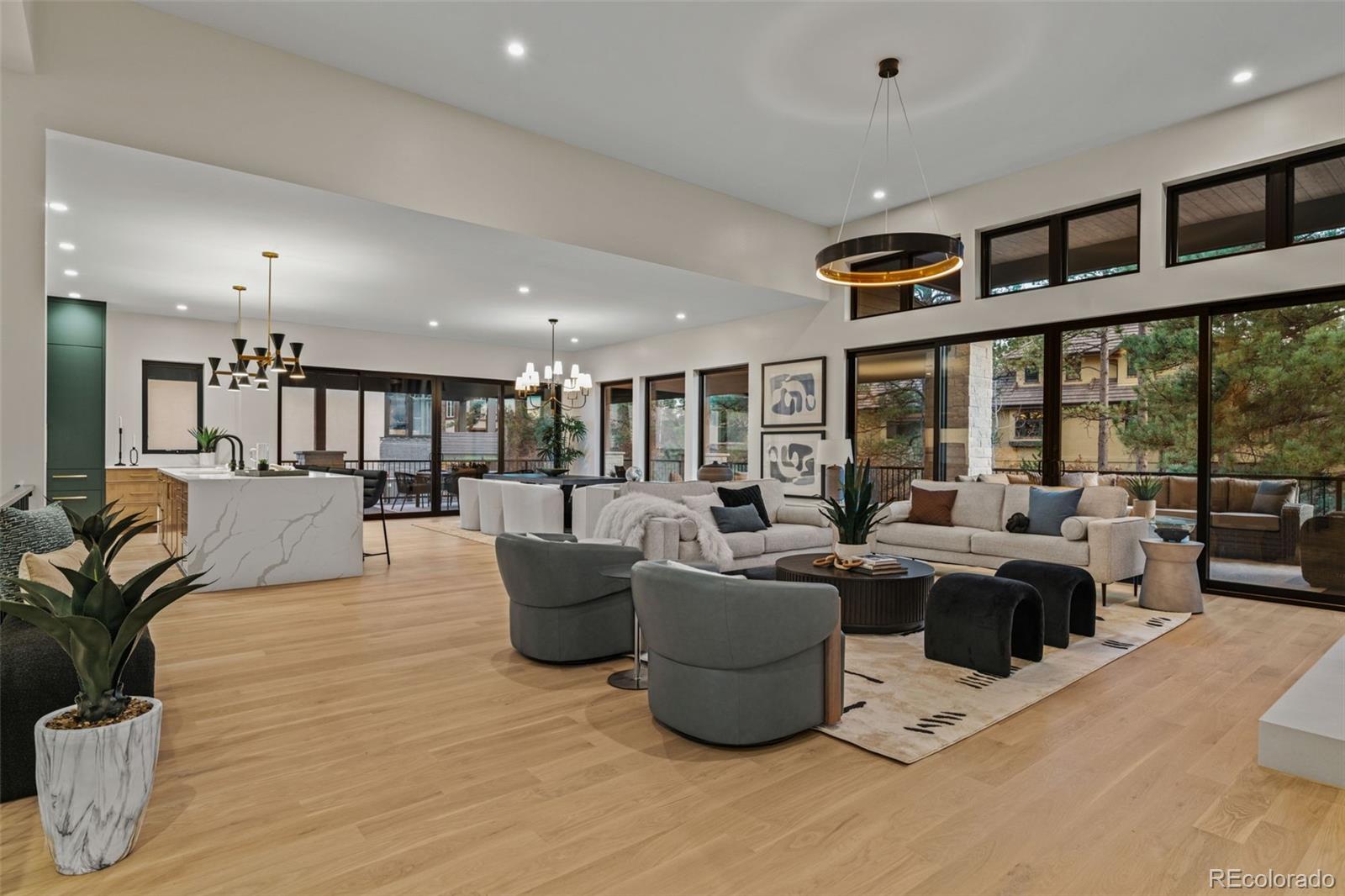 2580  Saddleback Drive, castle rock  House Search MLS Picture