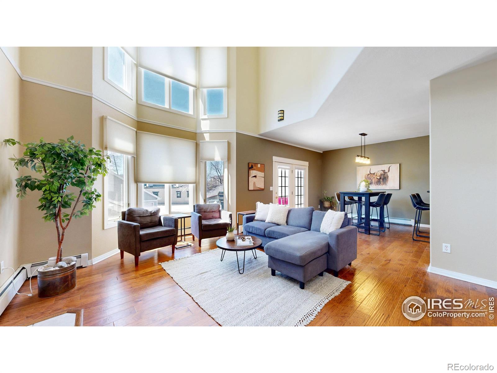 fort collins  House Search Picture