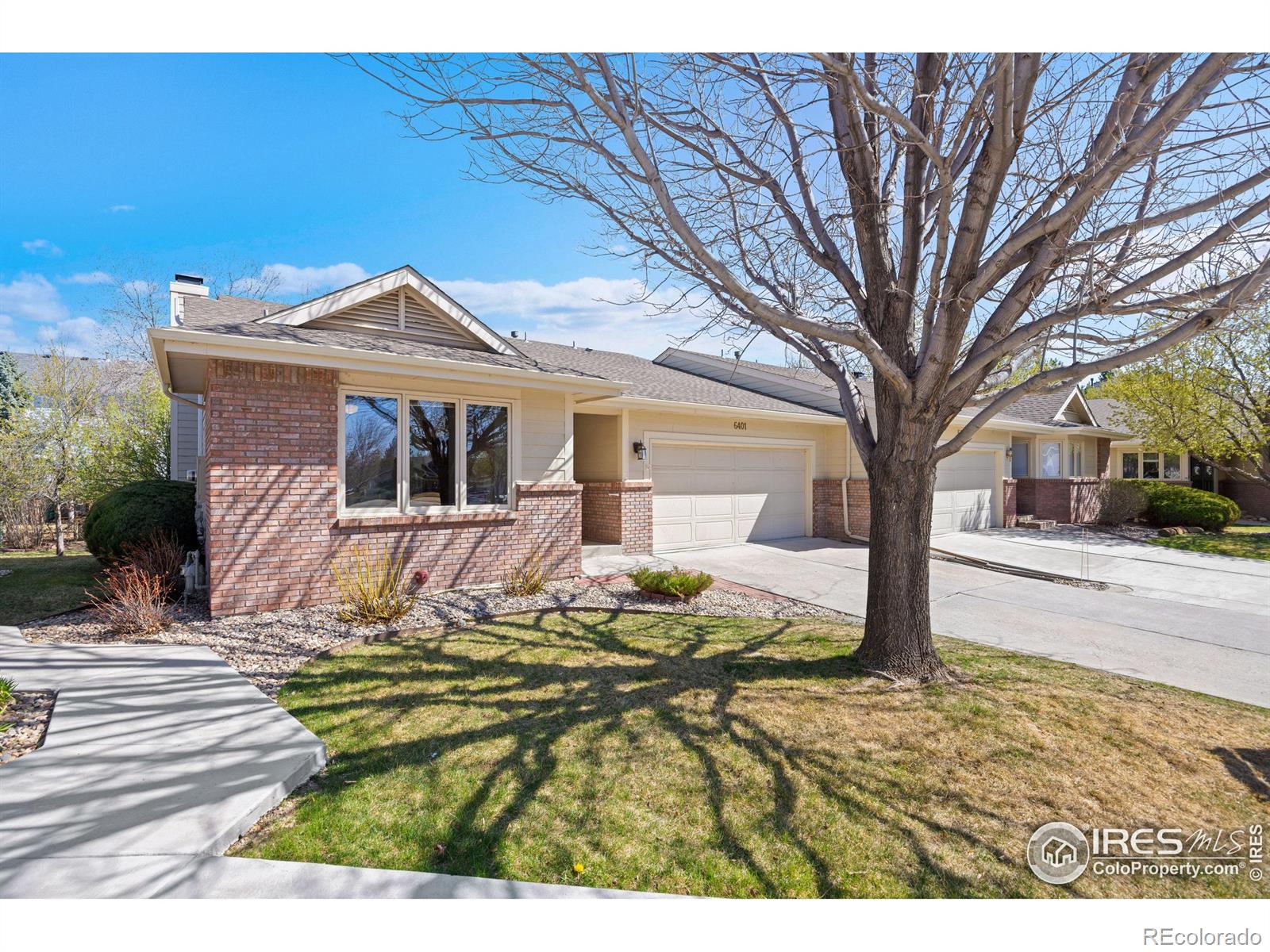 6401  Finch Court, fort collins  House Search MLS Picture