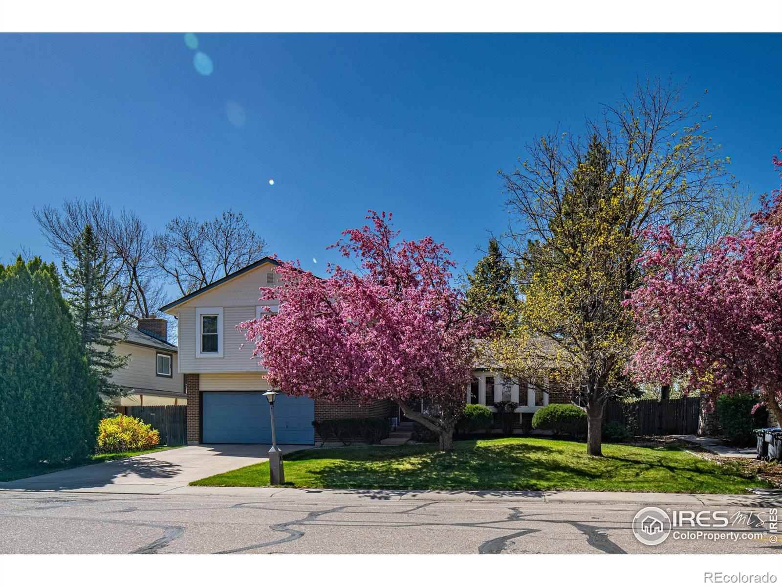 longmont  House Search Picture