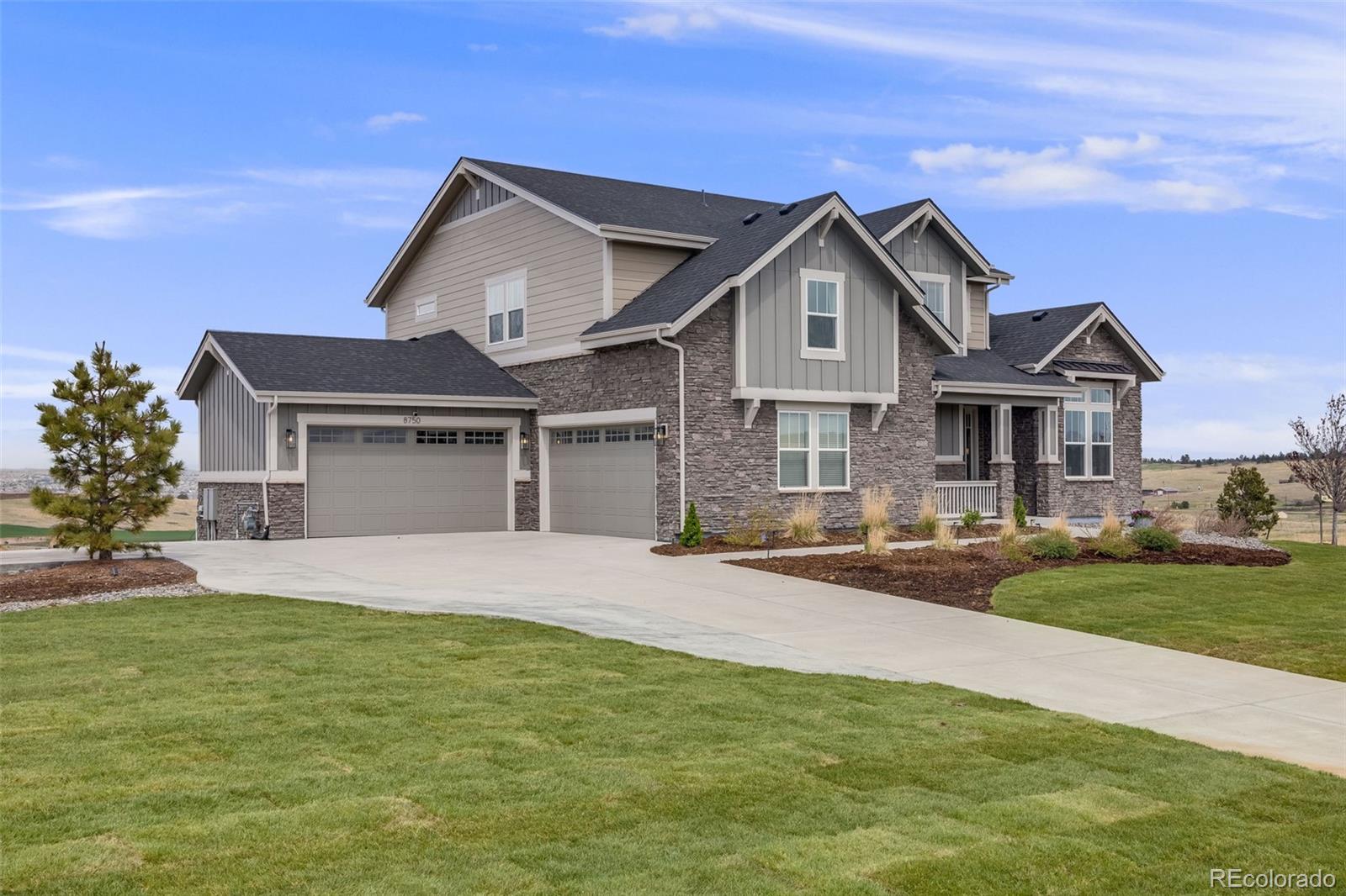 8750  Red Primrose Street, franktown  House Search MLS Picture