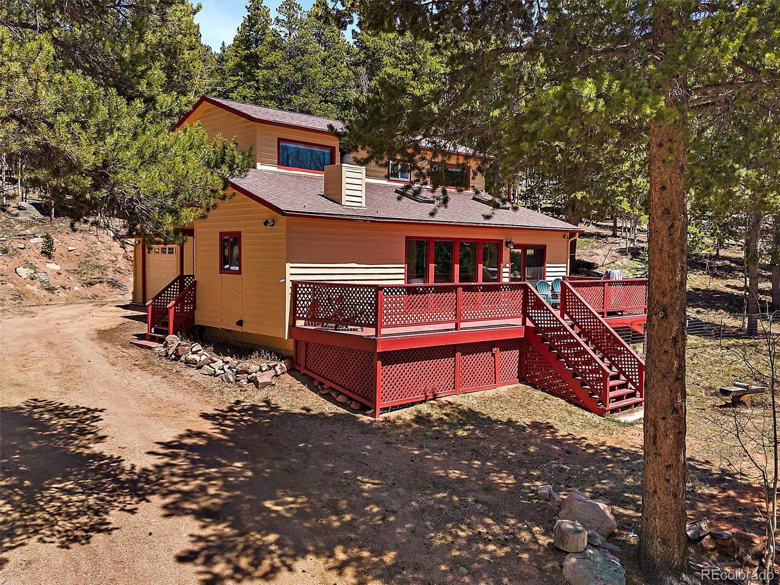 conifer  House Search Picture