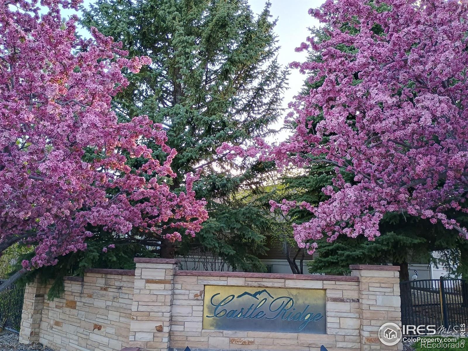 5200  Castle Ridge Place, fort collins  House Search MLS Picture