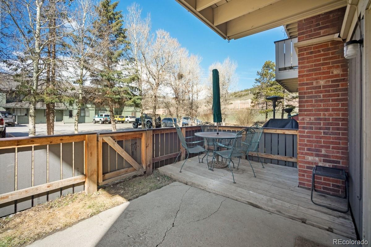 933  Straight Creek Drive, dillon  House Search MLS Picture