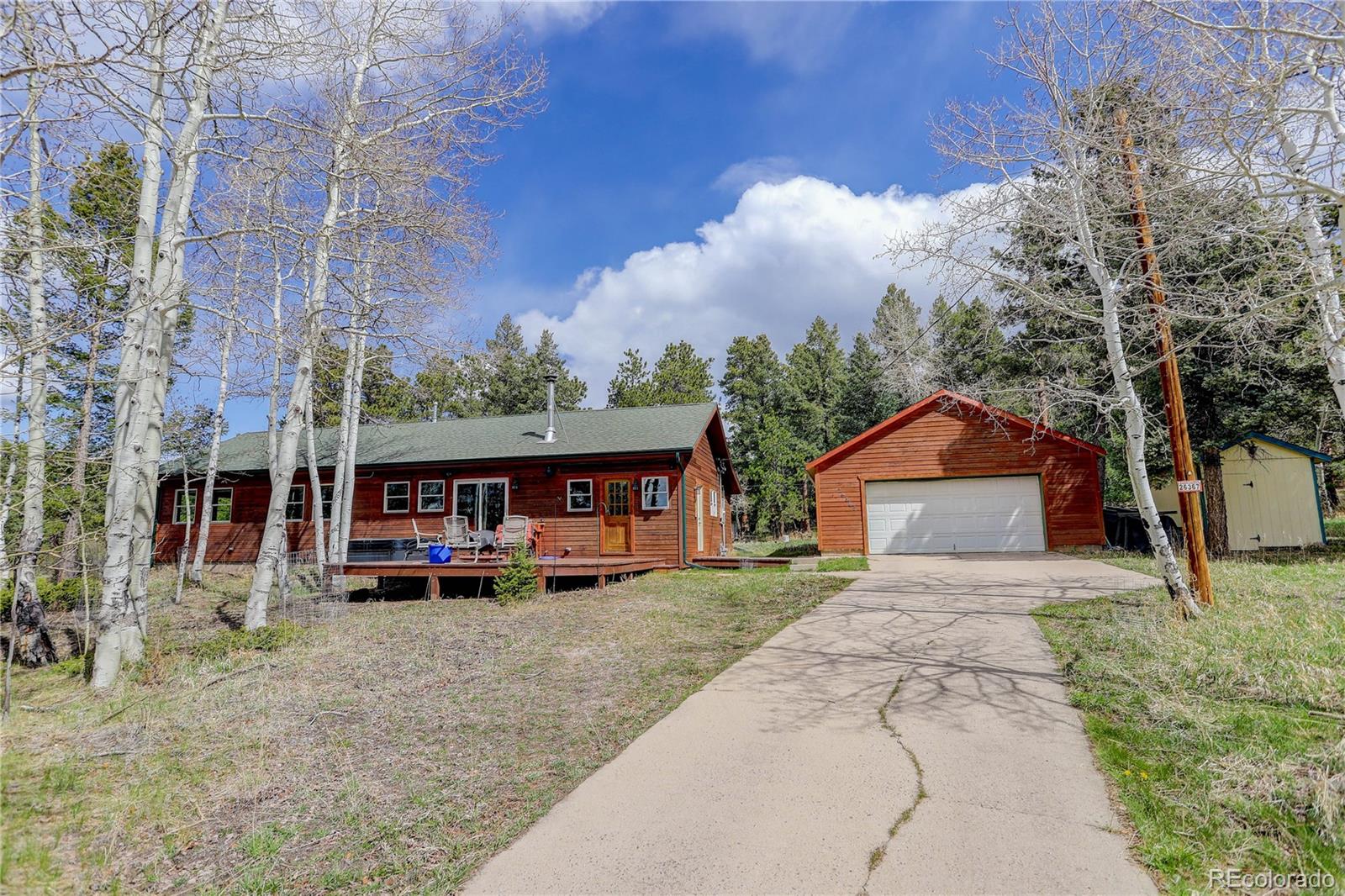 conifer  House Search Picture