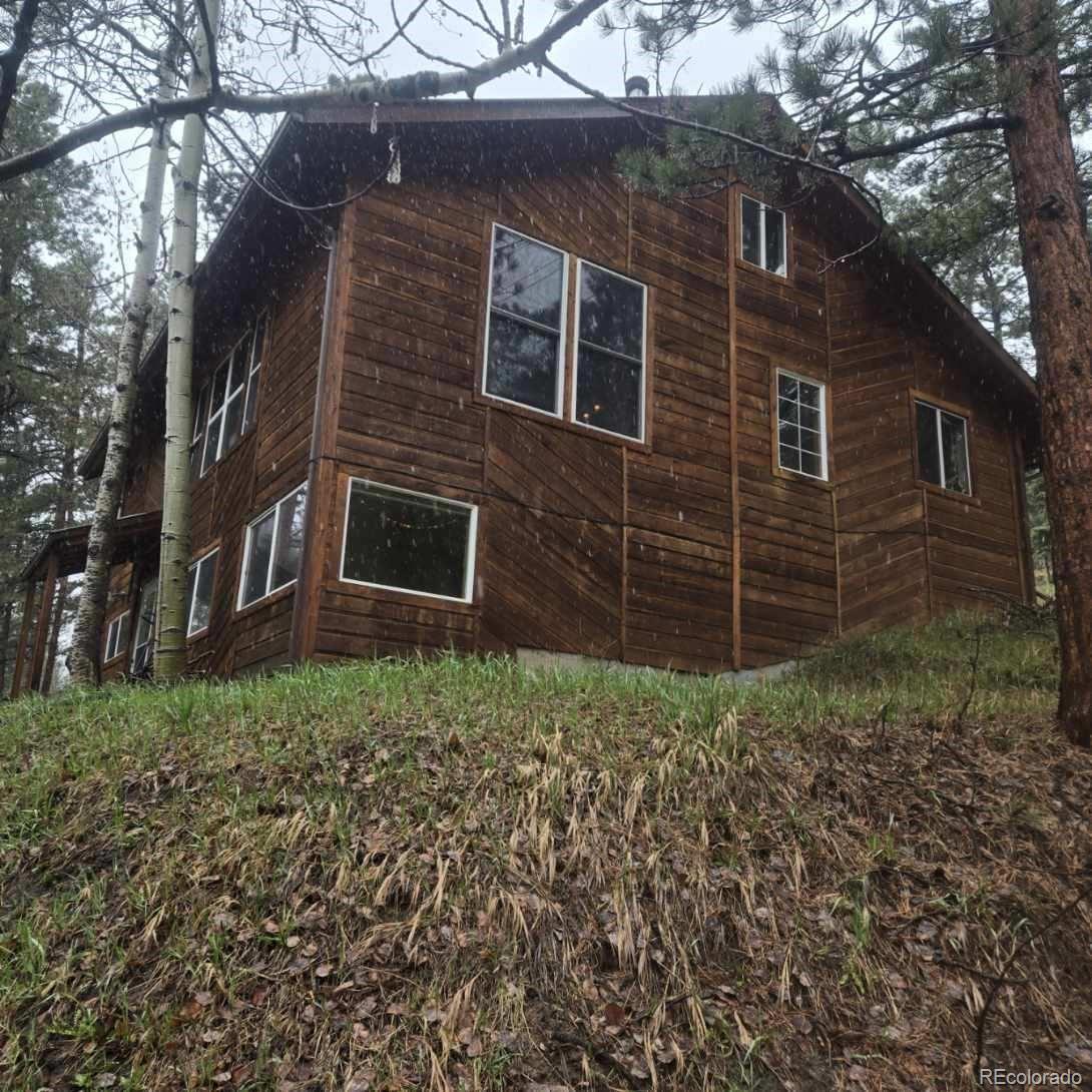 conifer  House Search Picture