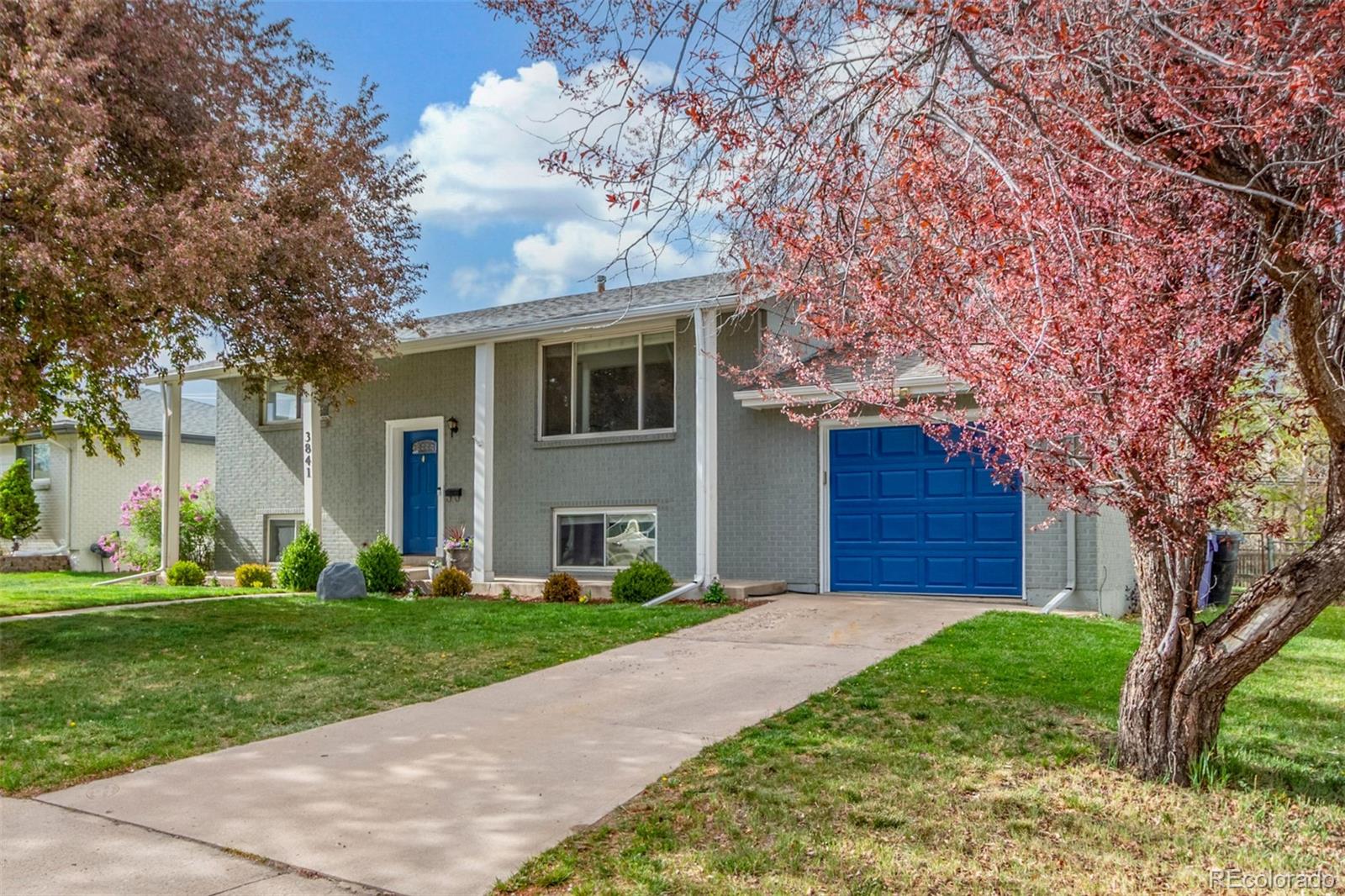 denver  House Search Picture