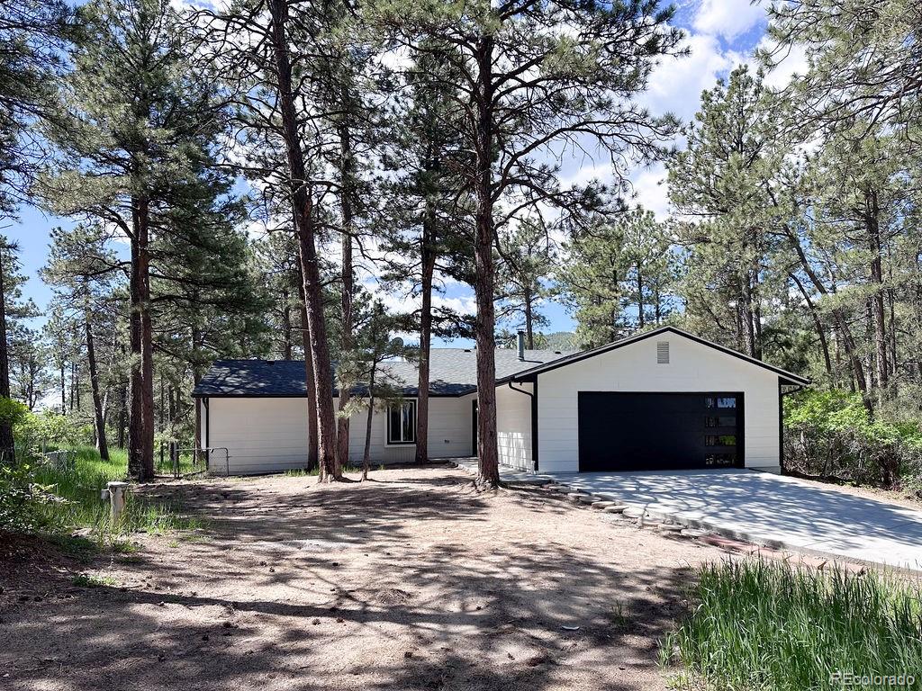 larkspur  Horse Properties Search Picture