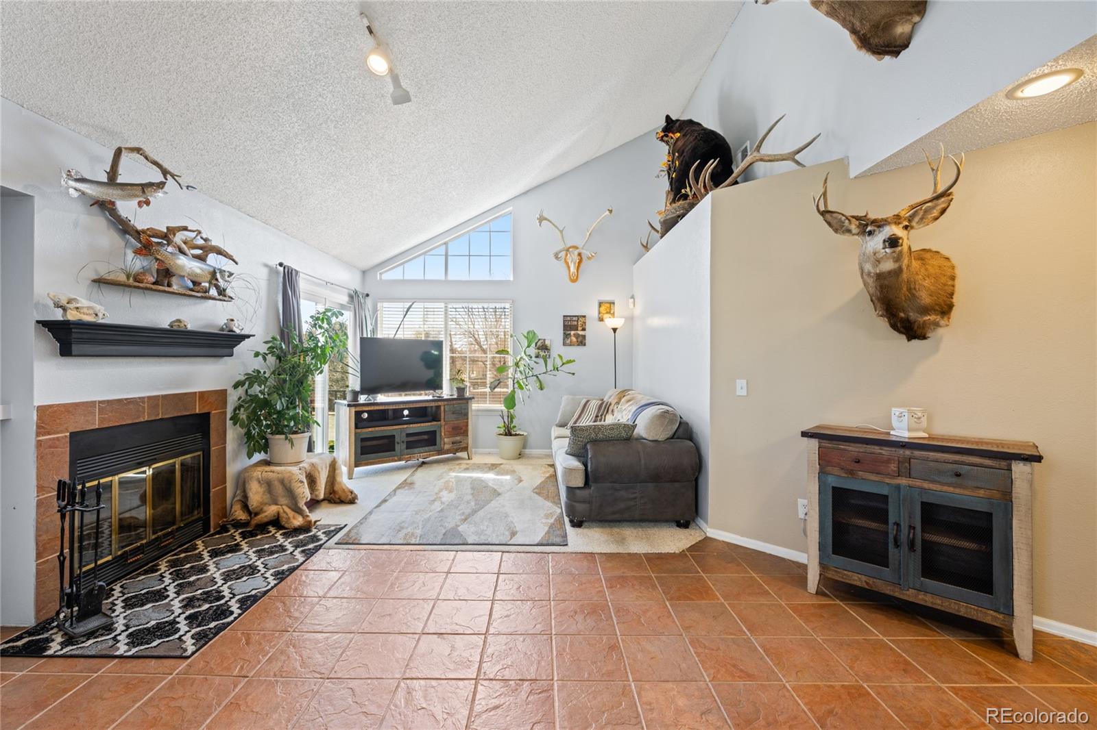 4086 S Carson Street, aurora  House Search MLS Picture