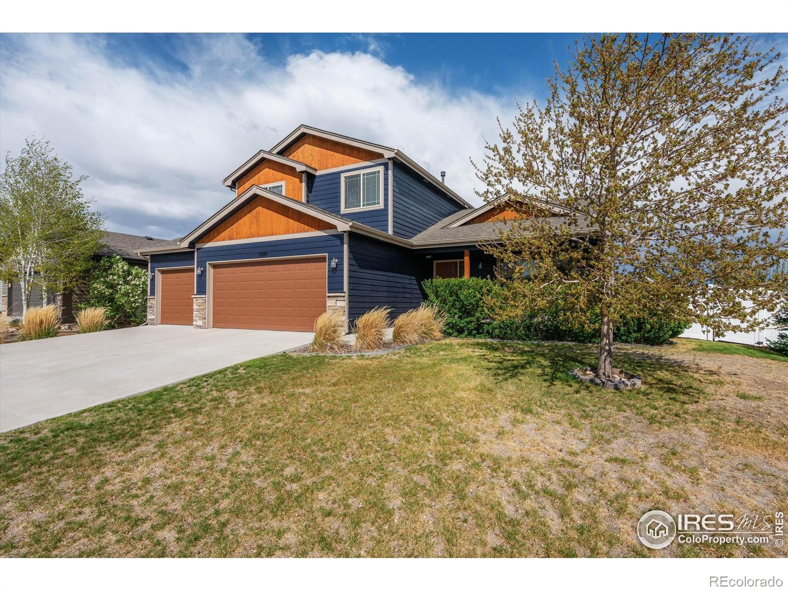 wellington  House Search Picture