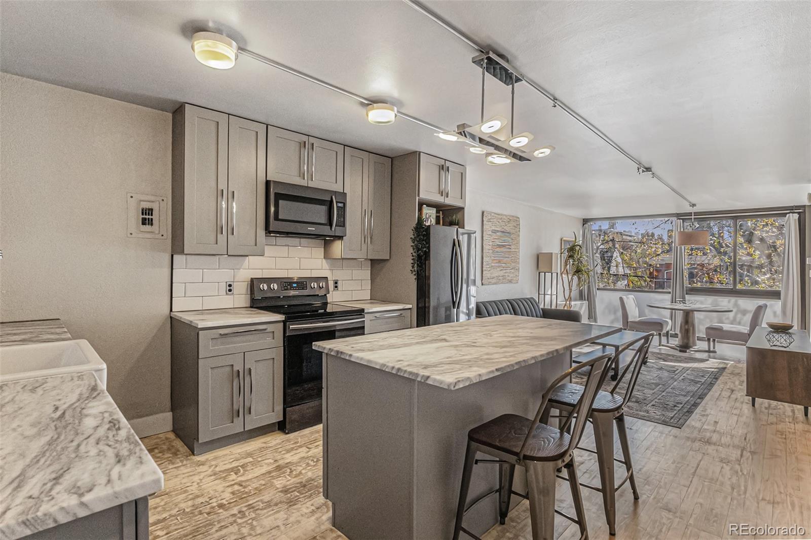 1050 N Corona Street, denver  House Search MLS Picture