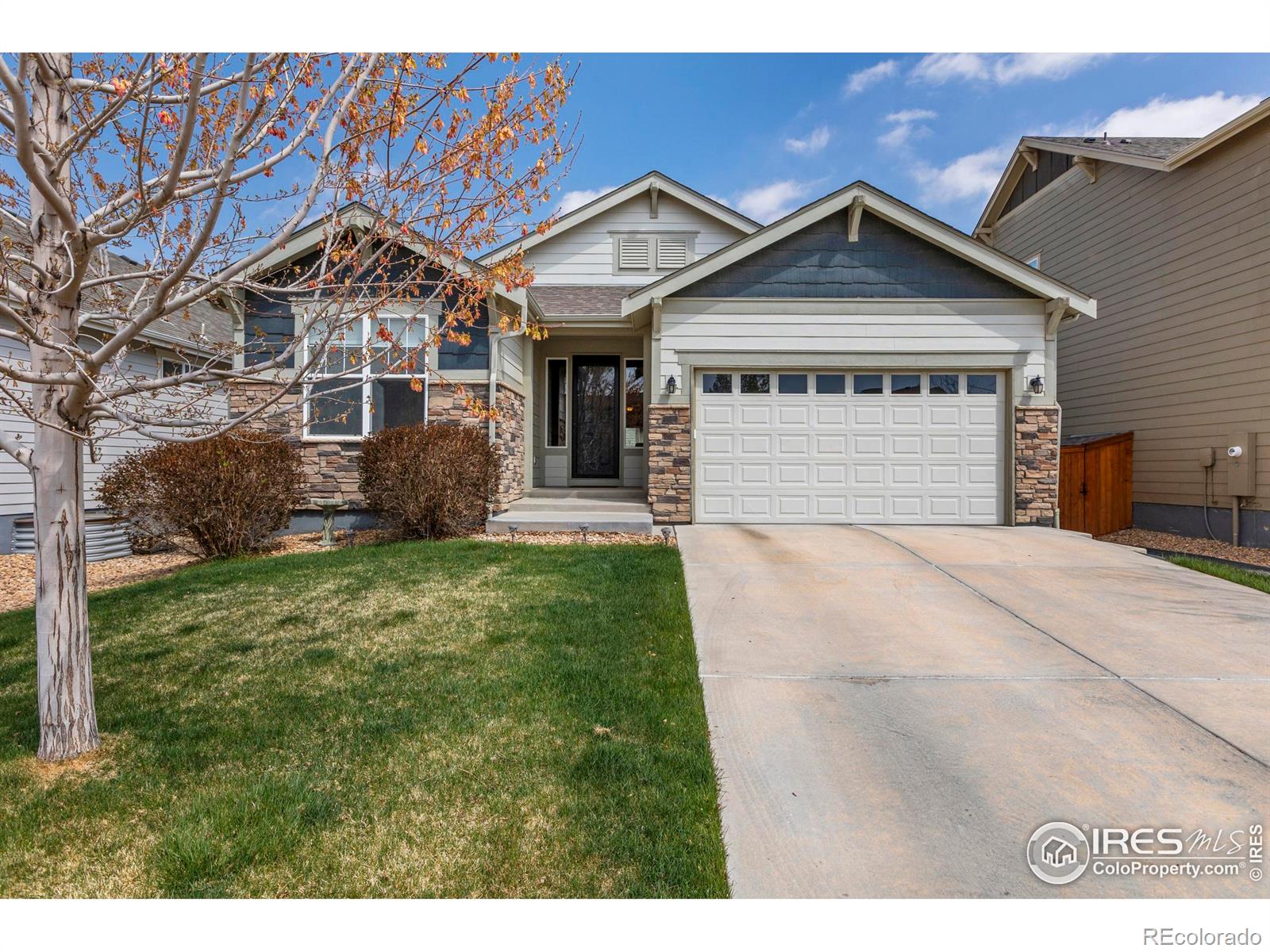 berthoud  House Search Picture