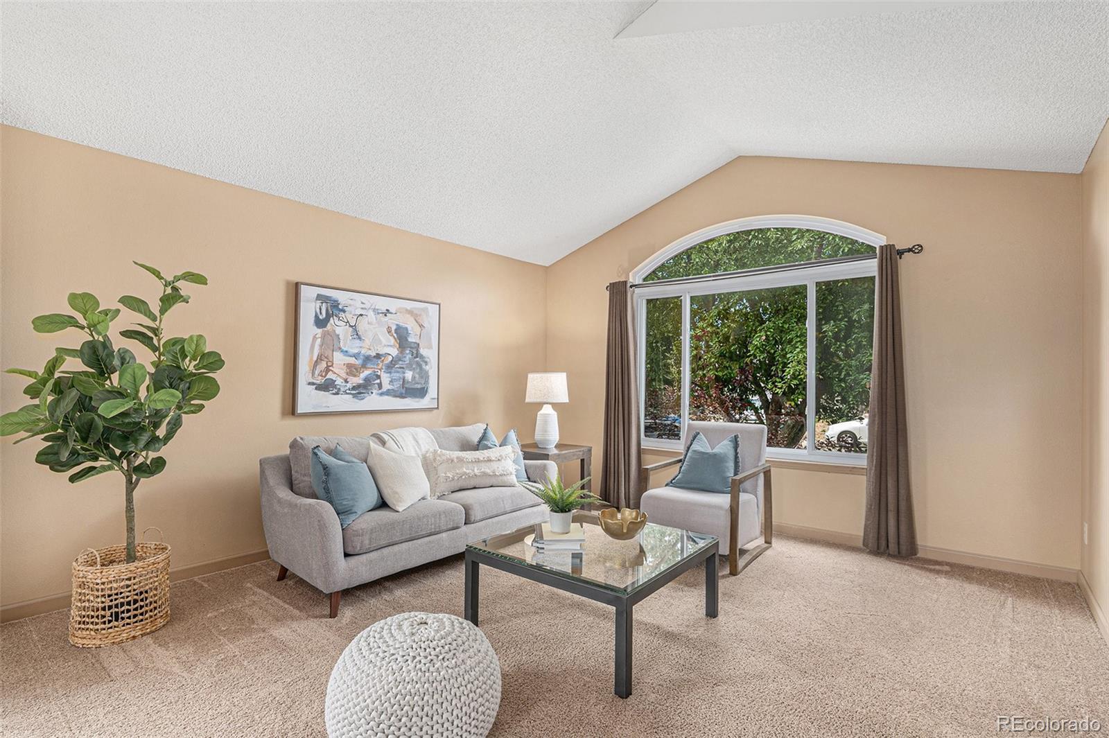 10152  Telluride Street, littleton  House Search MLS Picture
