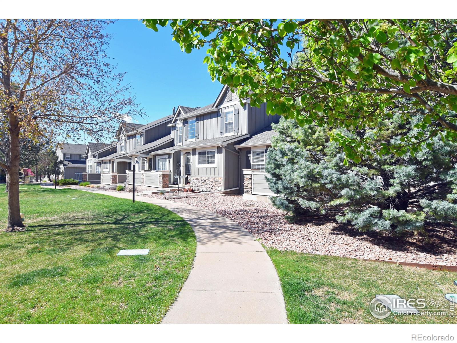fort collins  House Search Picture