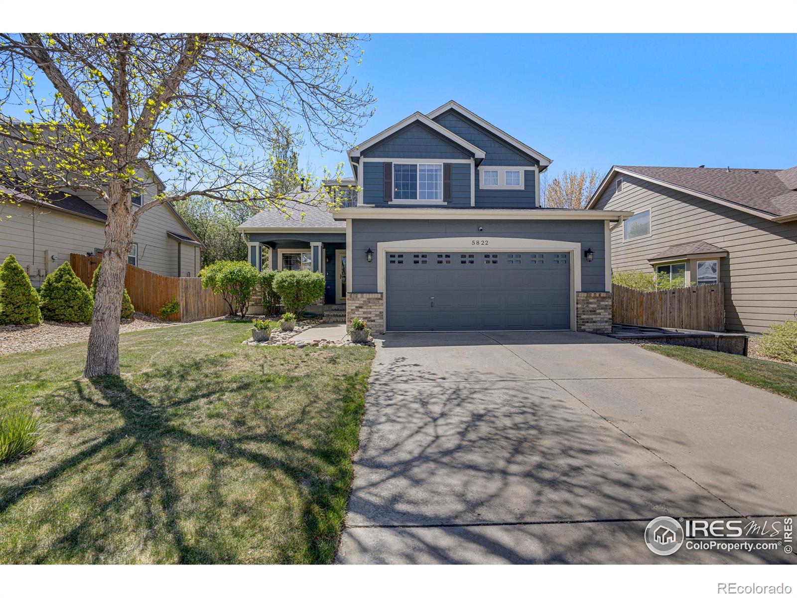 firestone  House Search Picture