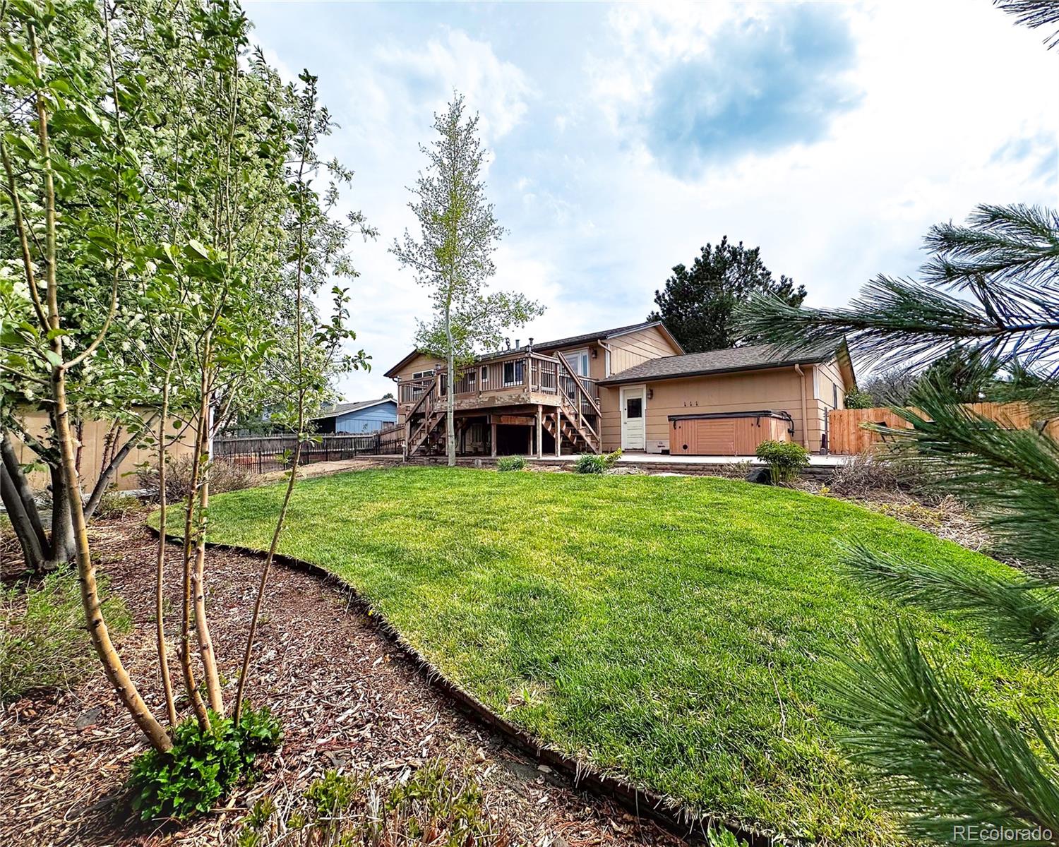 lone tree  House Search Picture