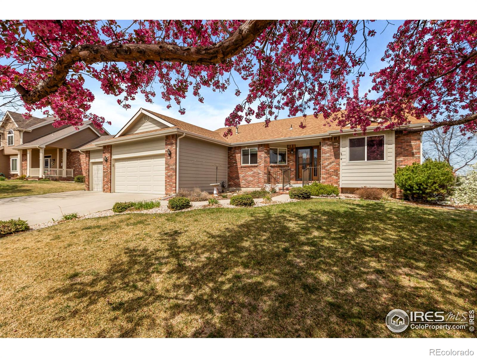 fort collins  House Search Picture