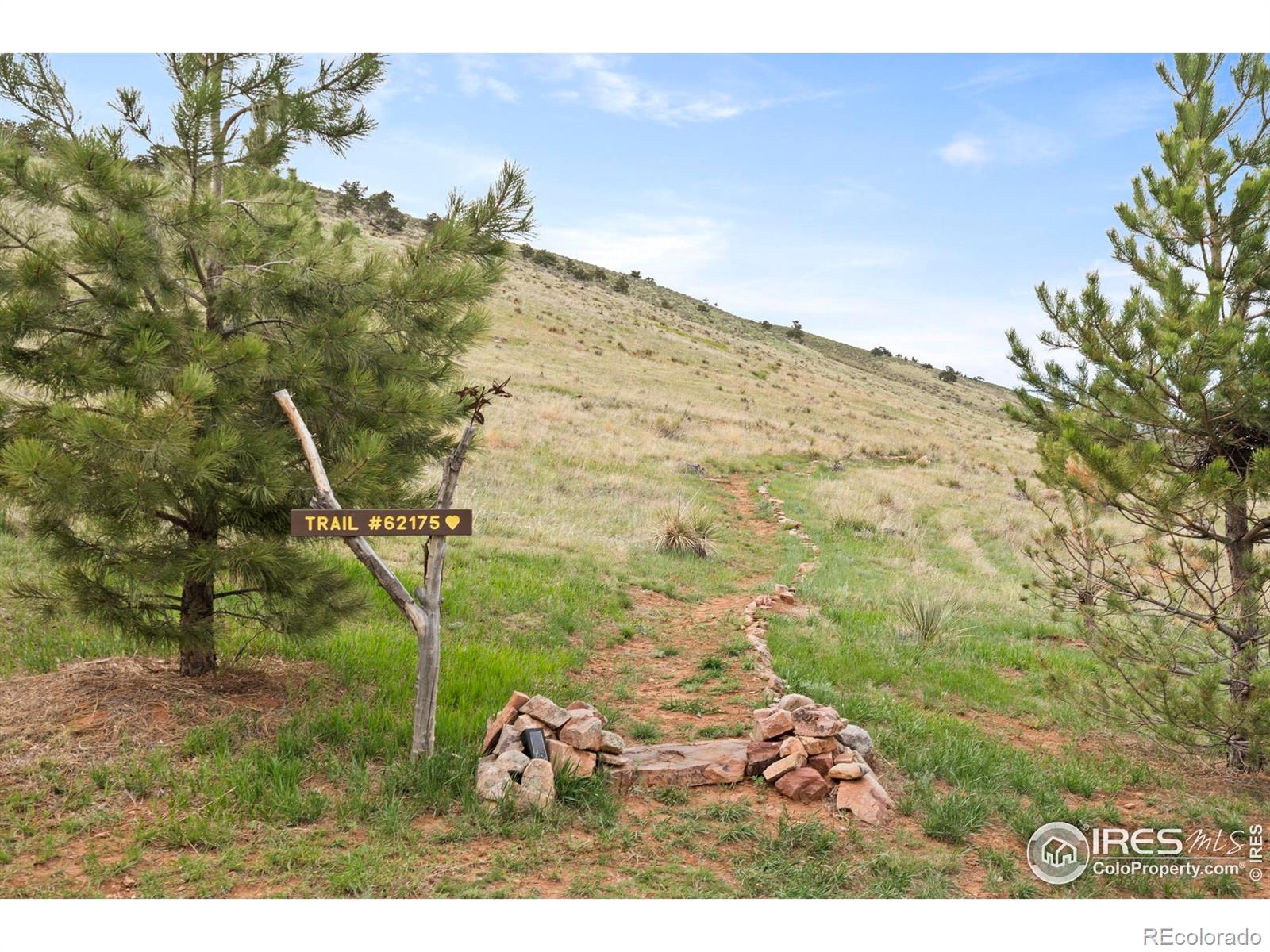 6319  Sedona Hills Drive, berthoud  House Search MLS Picture