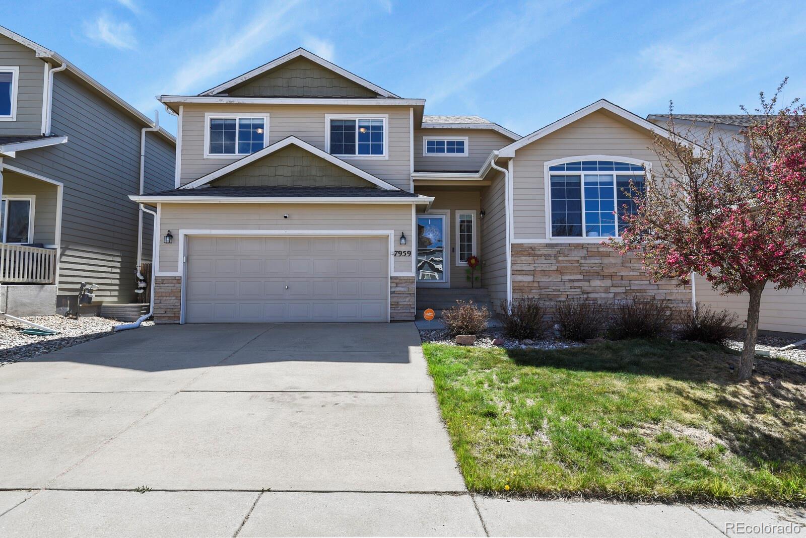 colorado springs  House Search Picture