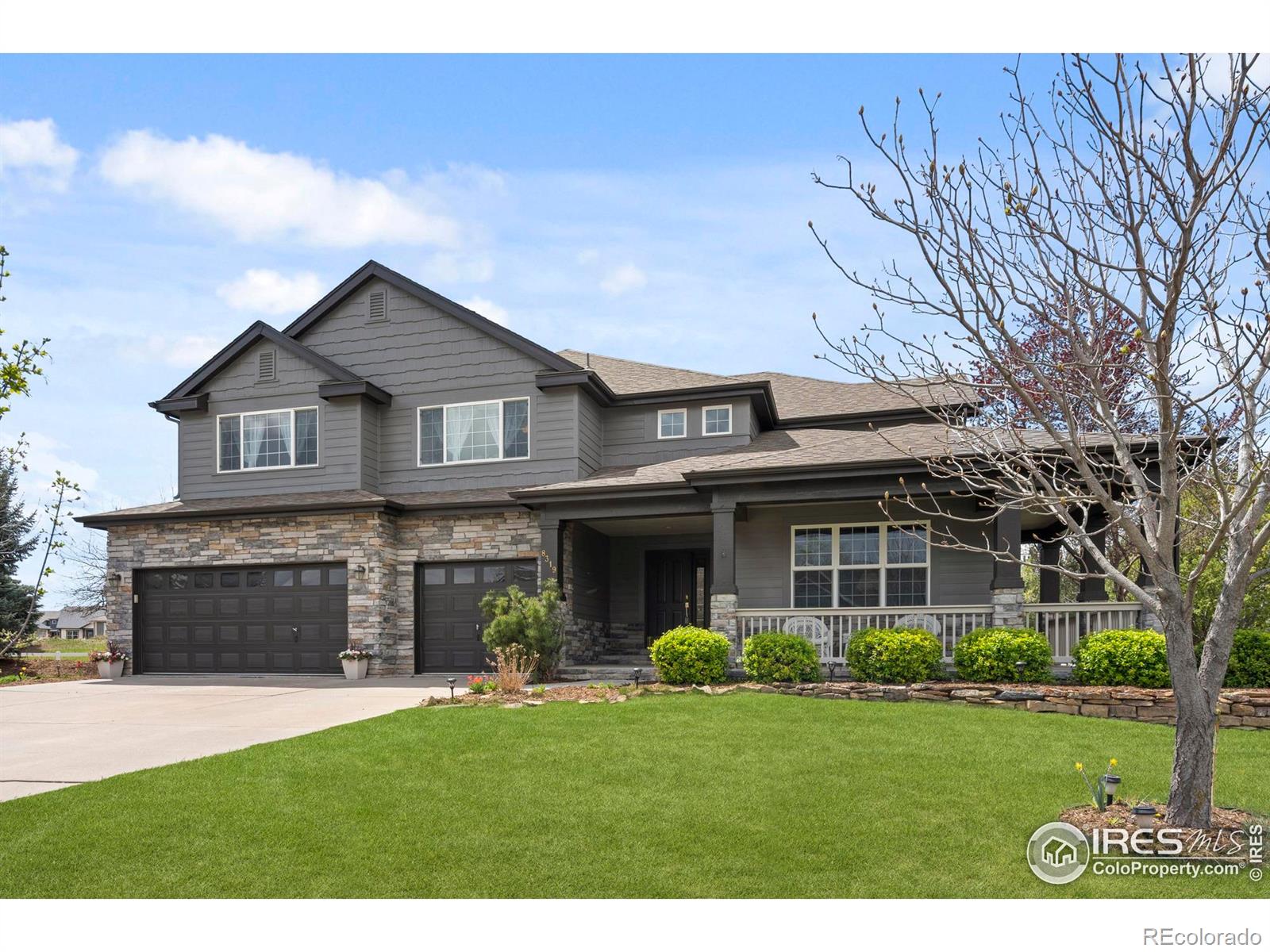 fort collins  House Search Picture