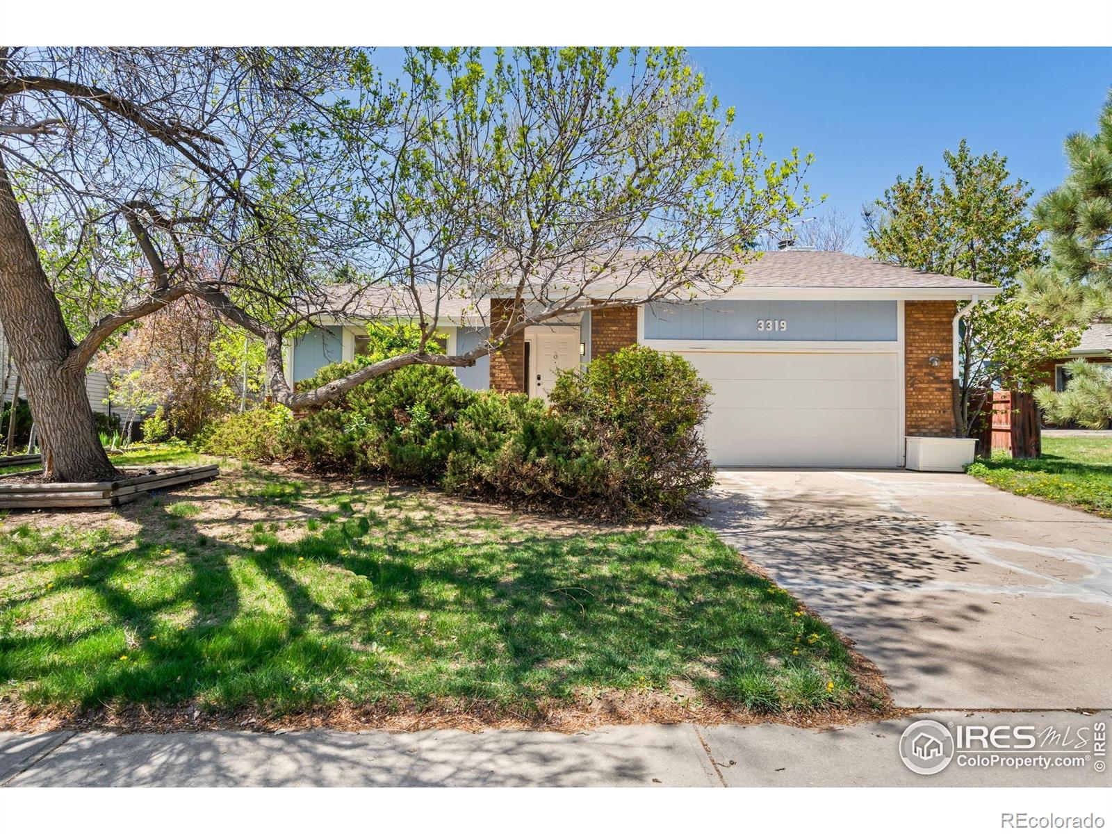 fort collins  House Search Picture