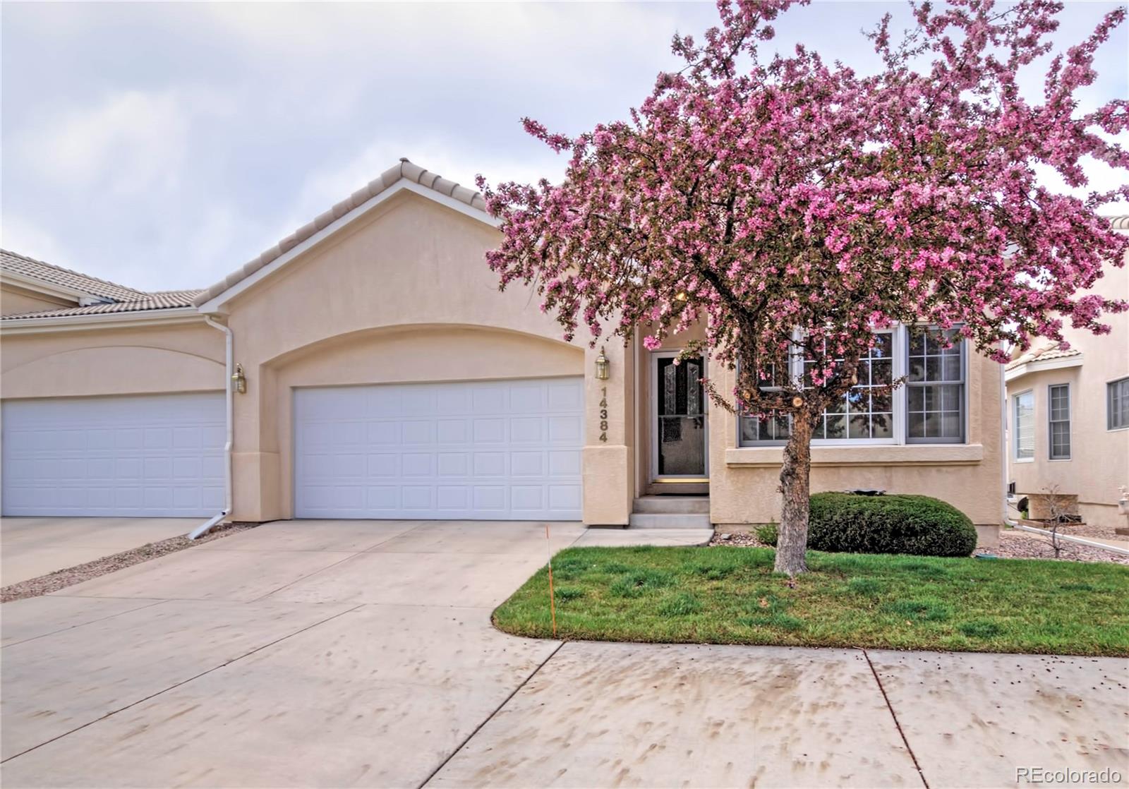 colorado springs  House Search Picture
