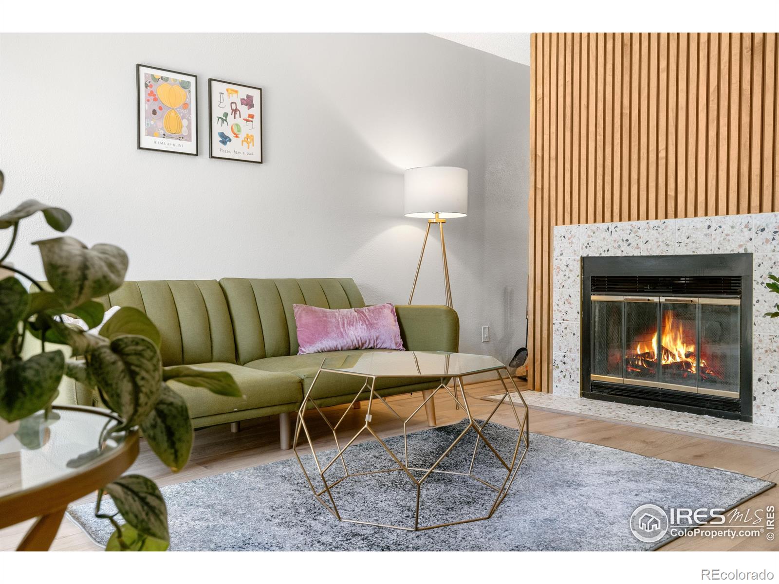 denver  House Search Picture