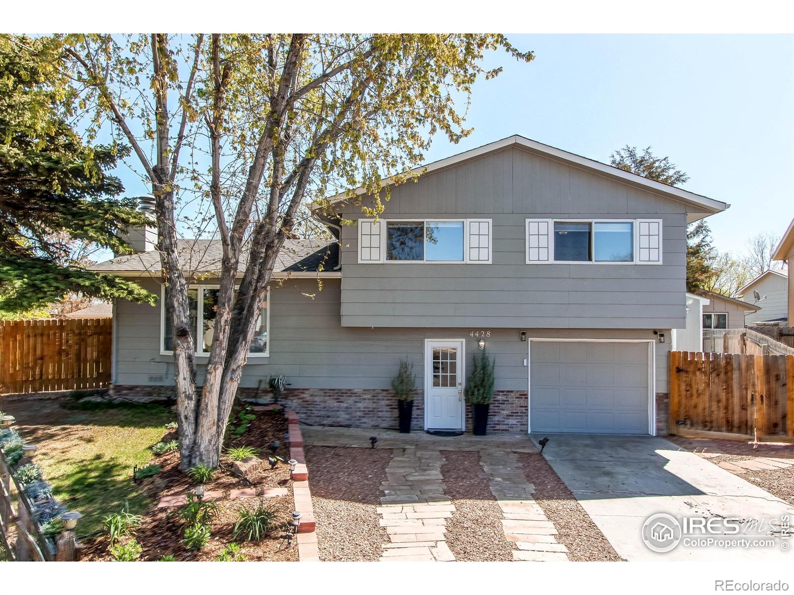 fort collins  House Search Picture