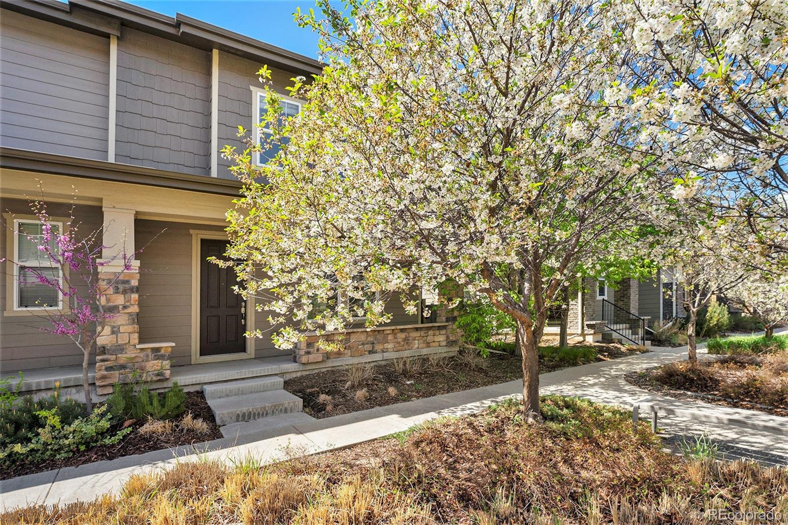 denver  House Search Picture