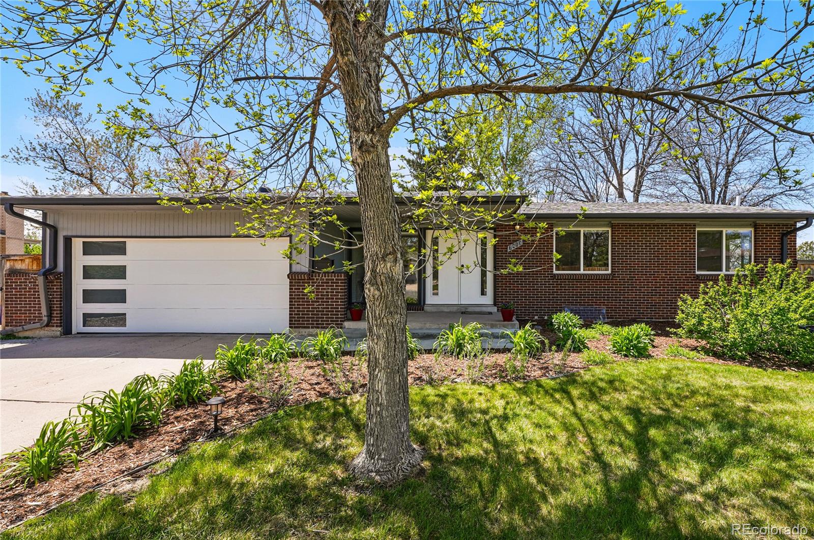 7413 S Tamarac Street, centennial  House Search MLS Picture