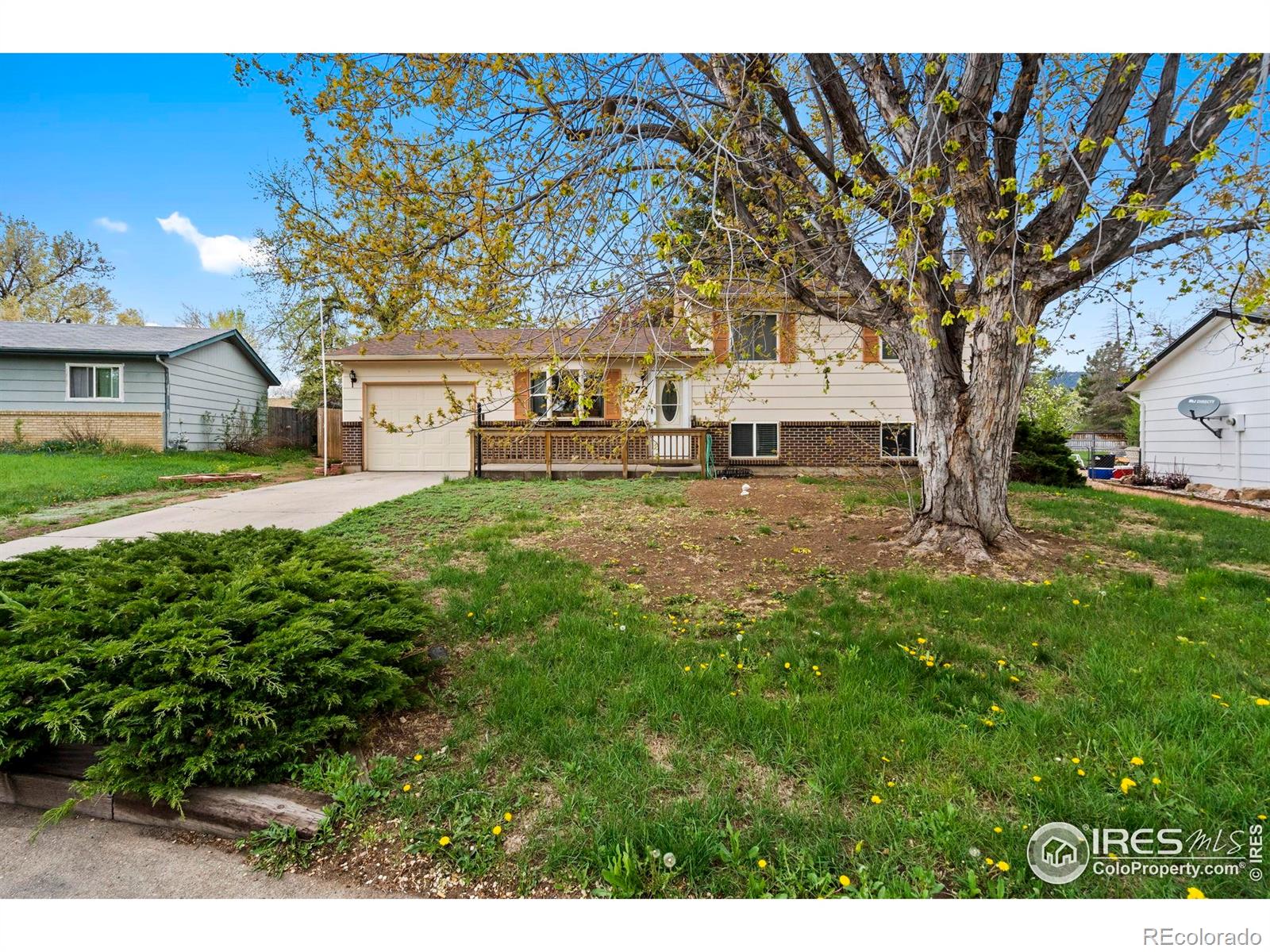 fort collins  House Search Picture
