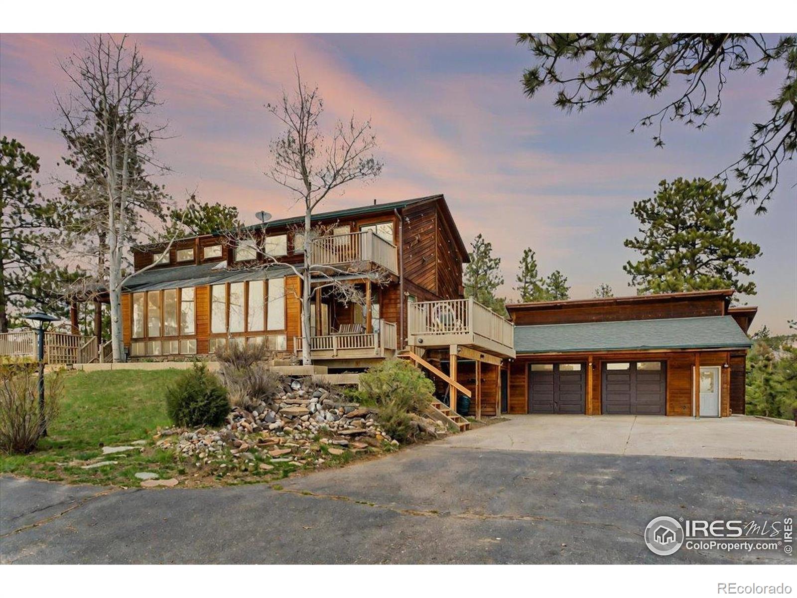 conifer  House Search Picture