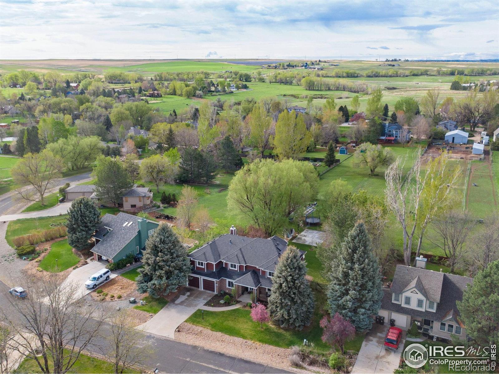 niwot  House Search Picture