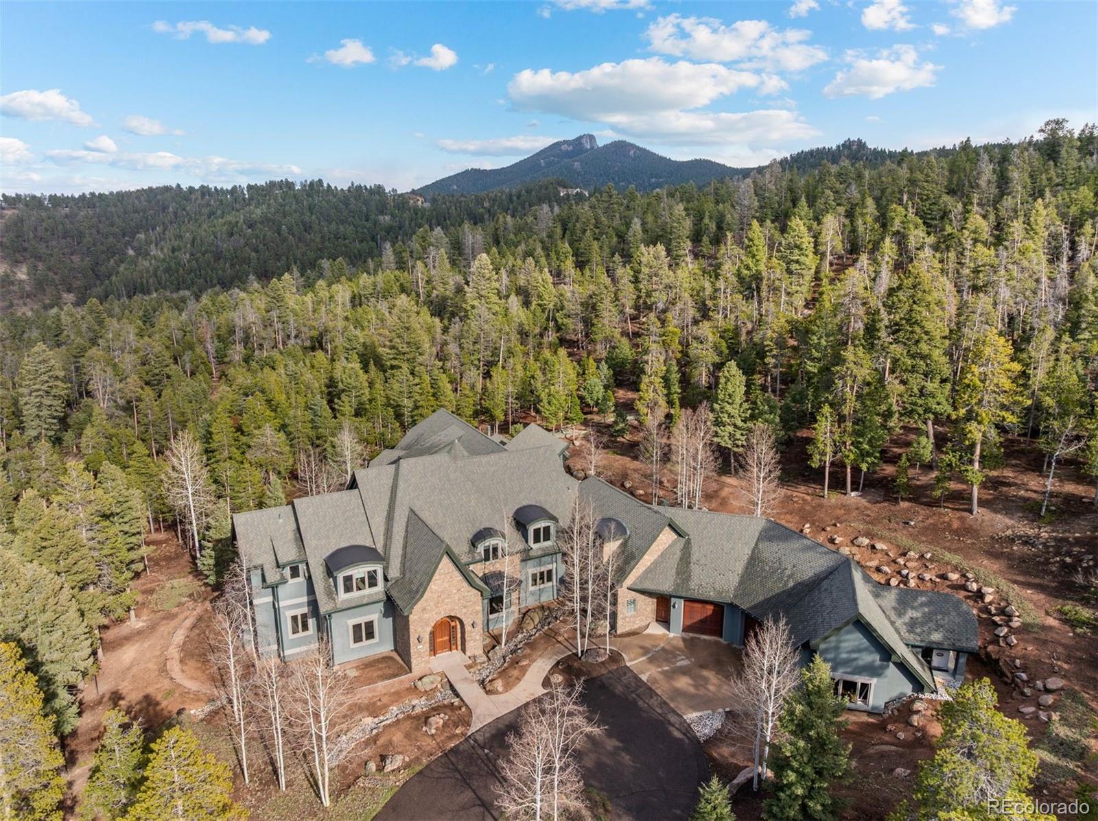 conifer  House Search Picture