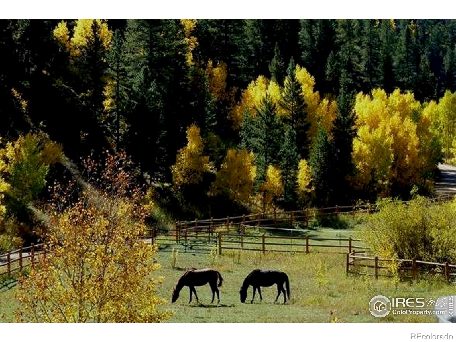 nederland  House Search Picture